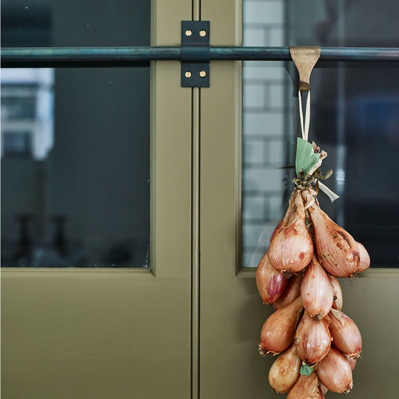 Plain English Design Details Shallots for Plain English Design Details