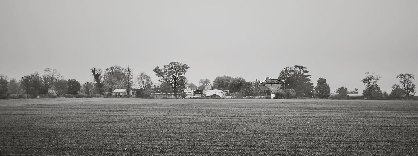  Plain English Farm